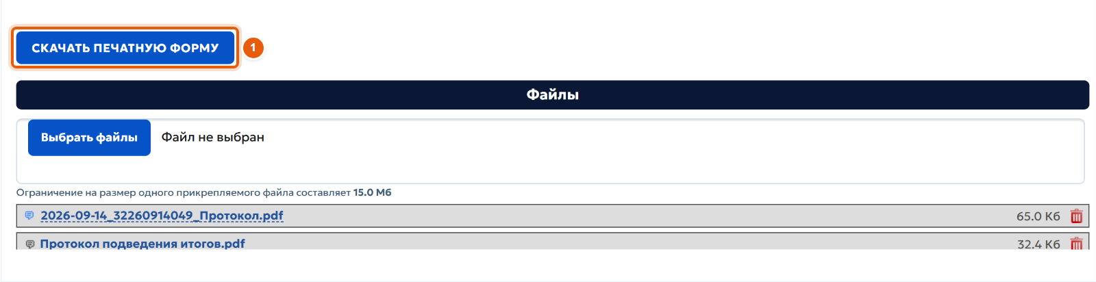 18. Проверьте протокол перед отправкой
